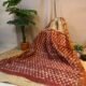 Leaf Printed Checkered Bagru Saree