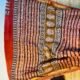 IMG_7835.JPG Red Buti Handprint Chanderi Silk Cotton Bagru